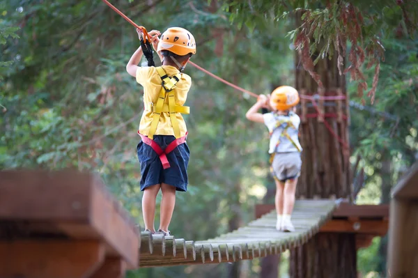 6-jarige kinderen klimmen bomen in de Dolomieten, Italië — Stockfoto