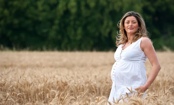 Happy pregnant woman portrait in a wheat field — Stock Photo, Image