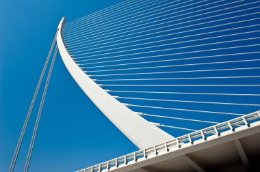 Valencia, İspanya - 31 Mart: Sanat ve bilim, şehirde 31 Mart 2012 Valencia, İspanya santiago calatrava tarafından tasarlanan mimari kompleks mimari detay