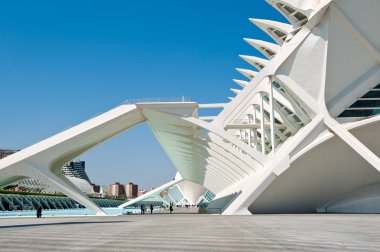 VALENCIA, SPAIN - MARCH 31: Museo de las Ciencias Principe Felipe at The City of Arts and Sciences, the architectural complex designed by Santiago Calatrava on March 31, 2012 in Valencia, Spain clipart