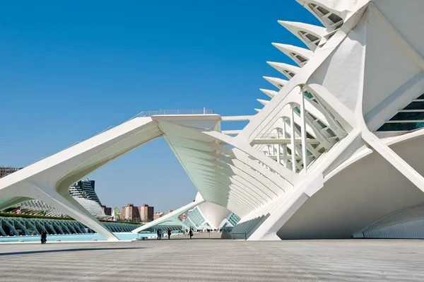 Valencia, İspanya - 31 Mart: museo de las ciencias principe felipe 31 Mart 2012 Valencia, İspanya santiago calatrava tarafından tasarlanan mimari kompleks City sanat ve bilim,