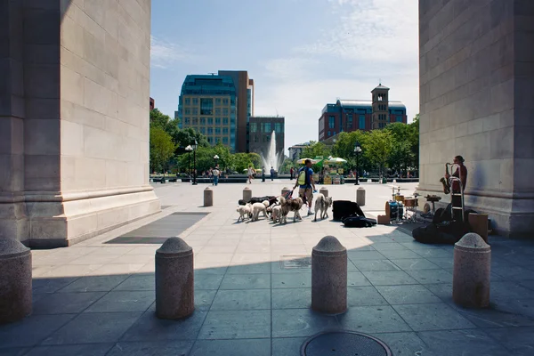 纽约市-6 月 28 日: 华盛顿广场公园，与 9.75 亩 — 图库照片
