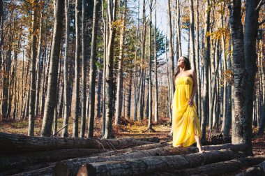 açık havada ormanda portre sarı elbise ile güzel genç kadın