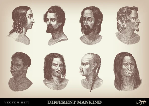 Engraving vintage Mankind set from "The Complete encyclopedia of illustrations" — Stock Vector