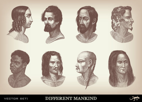 Engraving vintage Mankind set from "The Complete encyclopedia of illustrations"