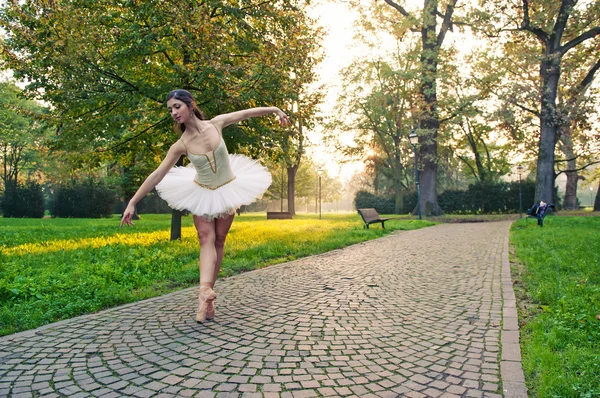 Açık havada dans bir parkta genç güzel balerin. Balerin projesi — Stok fotoğraf