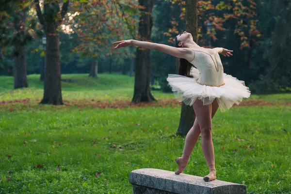Joven hermosa bailarina bailando al aire libre en un parque. Proyecto Bailarina —  Fotos de Stock