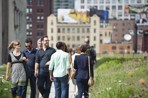 NEW YORK CITY - JUN 24: High Line Park in NYC on June 24th, 2012 — Stock Photo, Image