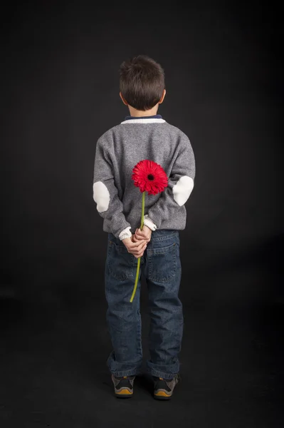 Child holds red flower behind his back. Black background — Stock Photo, Image