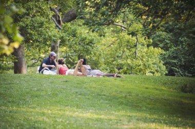 New York - 1 Temmuz: arkadaşlar açık havada Central Park'ta rahatlatıcı