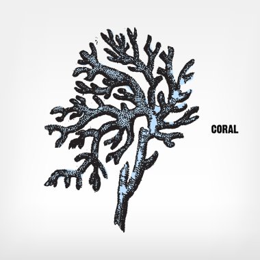 Vintage mercan oyma.