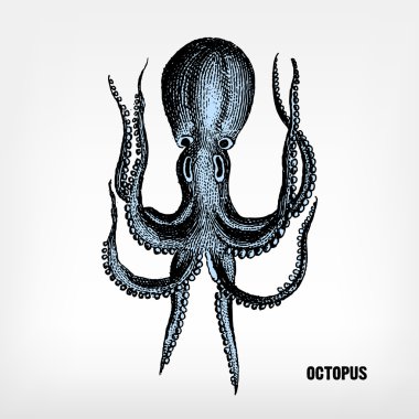 Vintage ahtapot oyma.