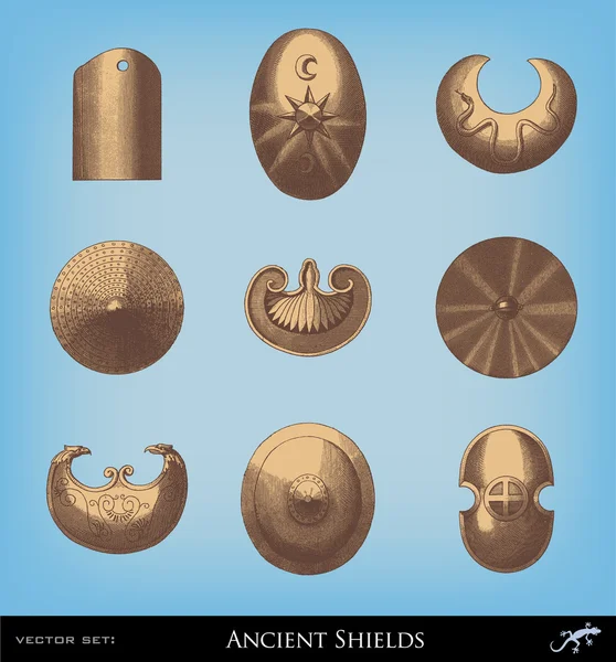 Incisione vintage Shield set illustrazioni . — Vettoriale Stock