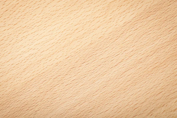 Beech texture — Stock Photo, Image