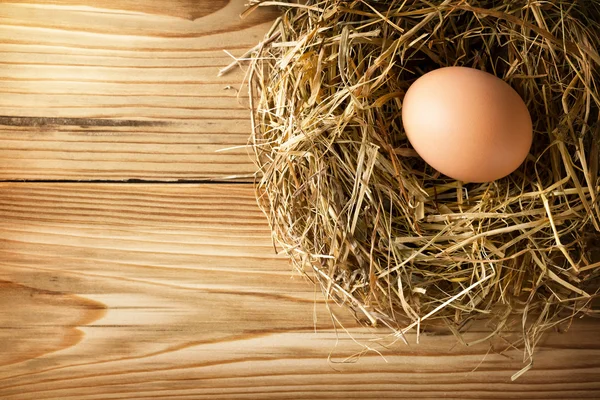 Egg in nest — Stock Photo, Image