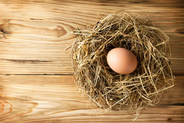 Uova nel nido — Foto Stock