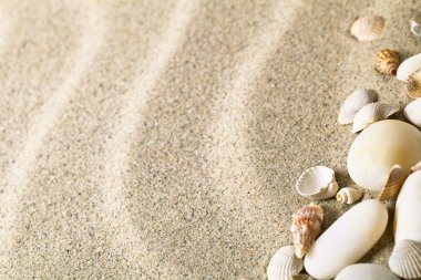 Sand and Shells