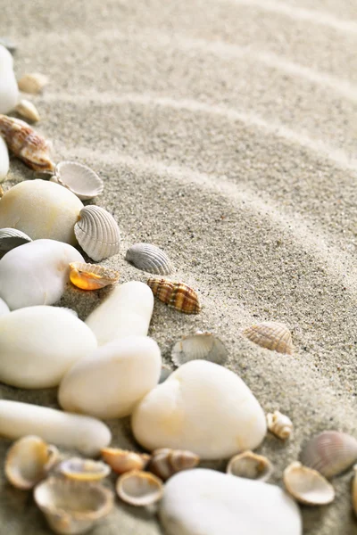 Sand and Shells — Stockfoto