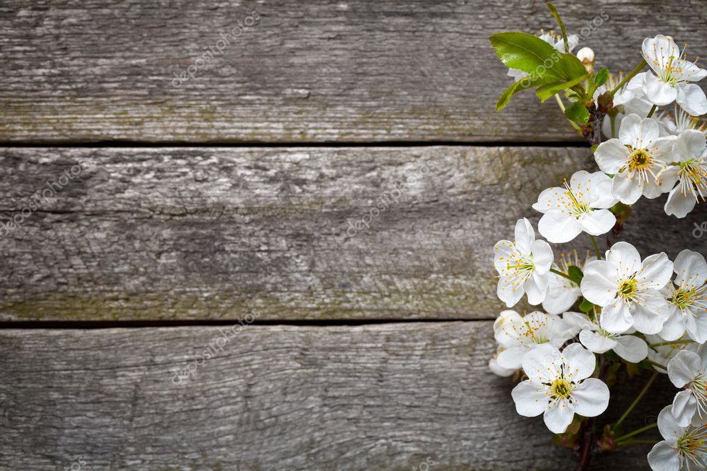 Mesa con flores fotos de stock, imágenes de Mesa con flores sin royalties | Depositphotos Mesa con flores fotos de stock, imágenes de Mesa con flores sin royalties | Depositphotos