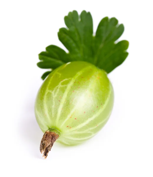 Gooseberry — Stock Photo, Image