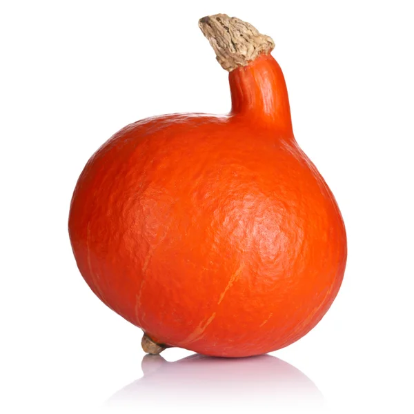 Pumpkin — Stock Photo, Image