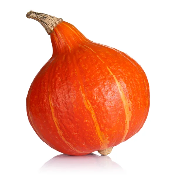 Pumpkin — Stock Photo, Image