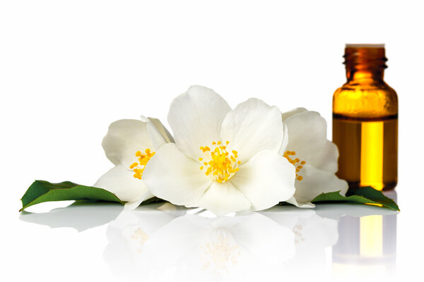 Jasmine Oil