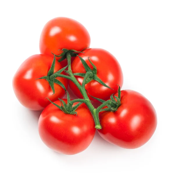 Tomates — Foto de Stock