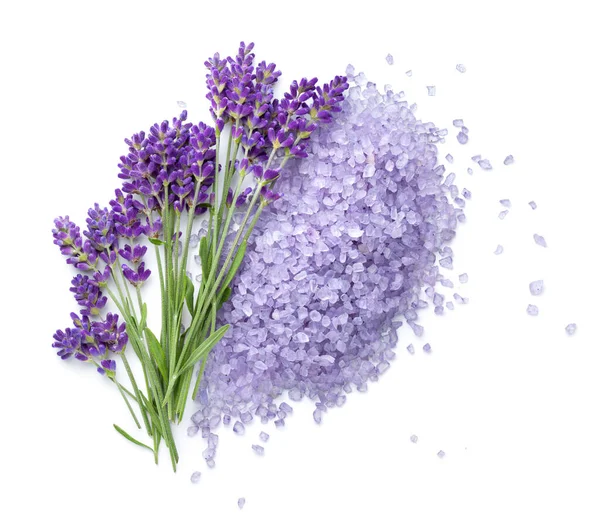 Lavender Flowers Salt Isolated White Background Top View — Stock Photo, Image