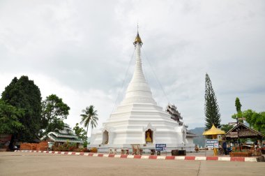 Kong moo phrathat doi