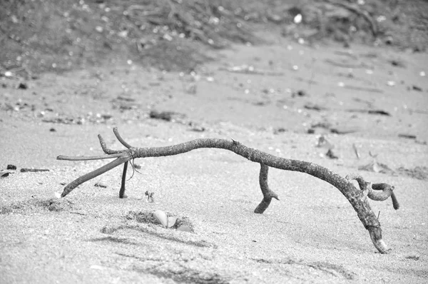 Tyč na pláži — Stock fotografie