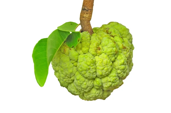 Sugar Apple — Stock Photo, Image