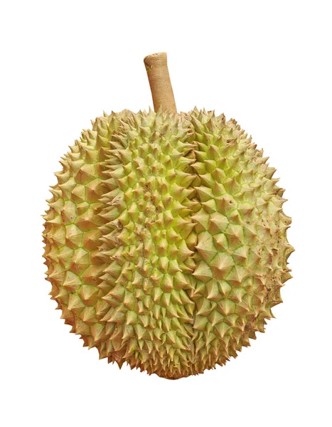 Durian — Stock Photo, Image