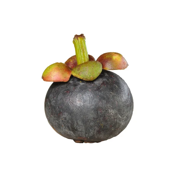 Mangosteens — Stock fotografie