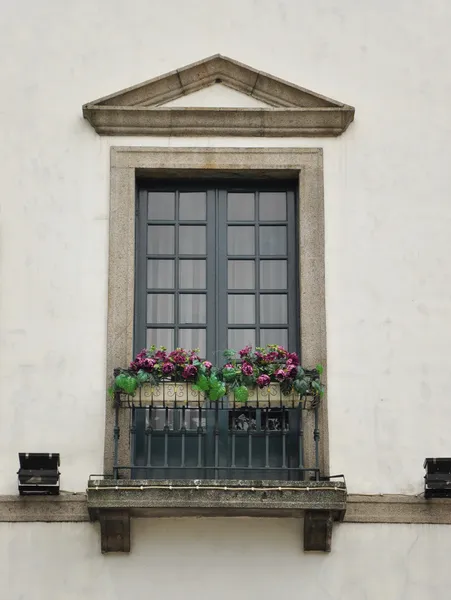 Window — Stock Photo, Image