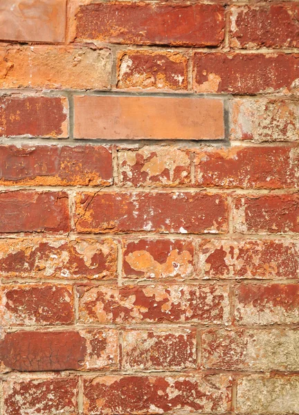 Brick wall — Stock Photo, Image