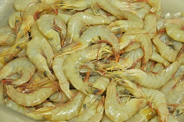 Shrimps — Stock Photo, Image