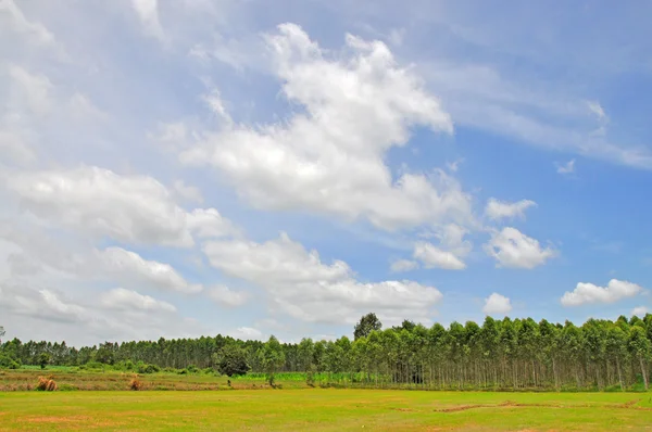 Landschaftsblick — Stockfoto