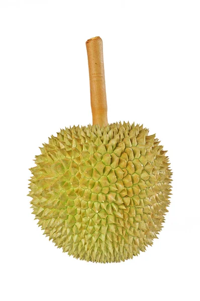 Durian — Stock Photo, Image