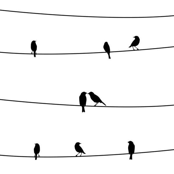 Vögel auf dem Draht — Stockvektor