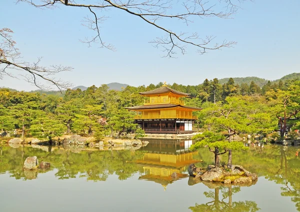 Kinkakuji Tapınağı'nda altın köşk — Stok fotoğraf