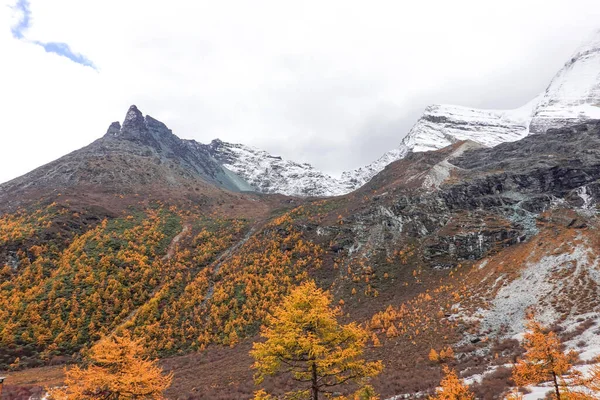 Vista Paisagem Outono Reserva Nacional Yading Condado Daocheng Província Sichuan — Fotografia de Stock