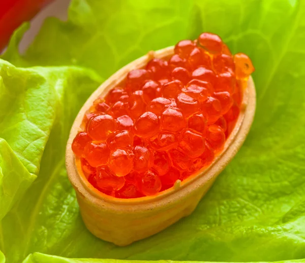 One caviar, scattered in baked waffle capitula on green leaf salad — Stock Photo, Image