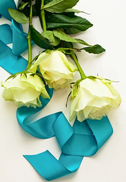 Drei weiße Rosen mit blauer Schleife als Geschenk Stockfoto