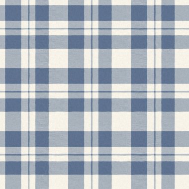 Çiftlik evi mavi ekoseli desenli. Tüvit duvar kâğıdı tasarımı için tüm baskı üzerinde klasik tarz twill. 