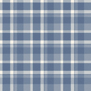 Çiftlik evi mavi ekoseli desenli. Tüvit duvar kâğıdı tasarımı için tüm baskı üzerinde klasik tarz twill. 