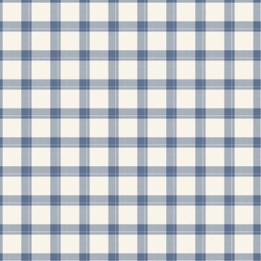 Fransız çiftlik evi, mavi ekose kumaş desenli. Taşralı tonal mutfak kumaş efekti. Tartan kulübesi 2 ton gri arkaplan malzeme dokusu.