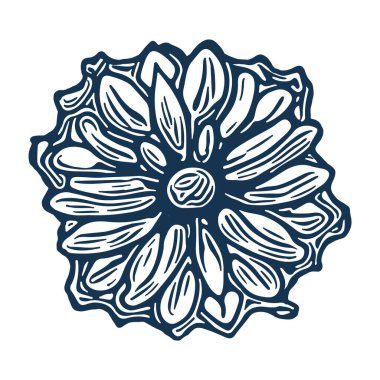 Dekoratif tek şarjör sanatı. Çiçek açan güzel için klasik vektör botanik çiçek ikonu. Çiçek açan yaprakların tasviri