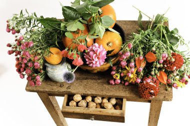 Düzenlenmiş natürmort