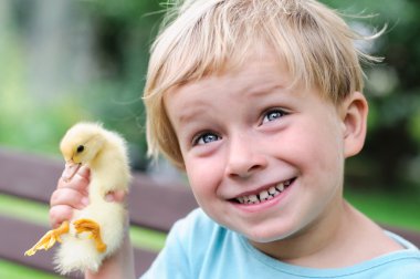 Ördek yavrusu tutan çocuk